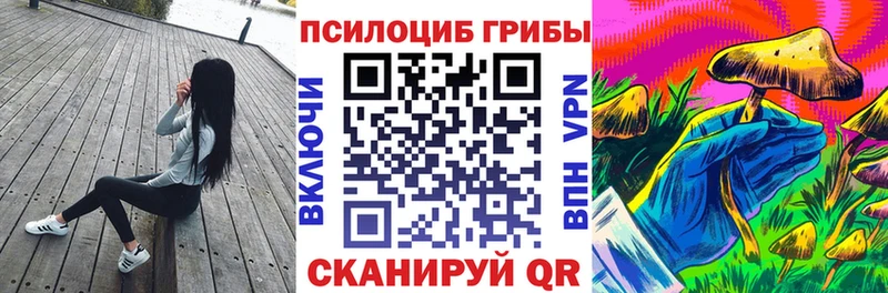 Псилоцибиновые грибы Psilocybine cubensis  Шарья 